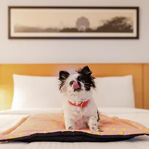 Chennai hotels &amp; apartments, all accommodations in Chennai